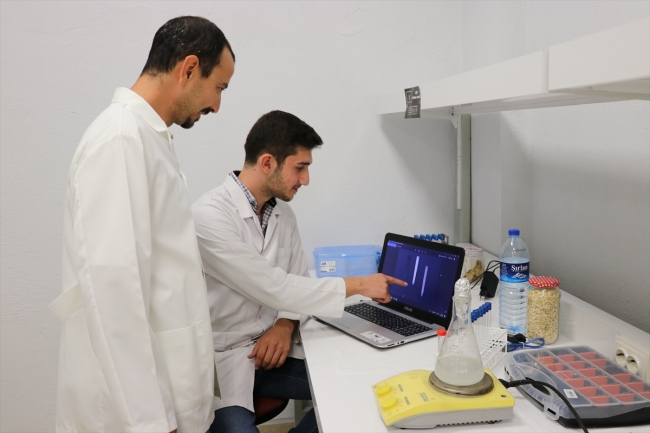 Ispanak ve zenfecil hastalık tespitinde kullanılacak